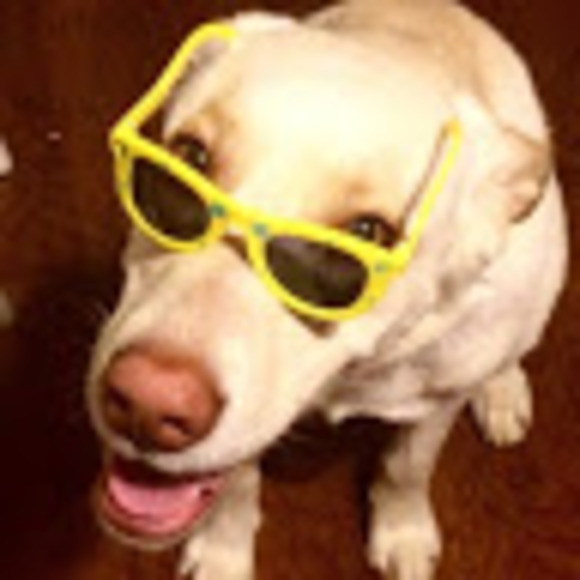 Meet your Posher, Kiley - Picture 1 of 1